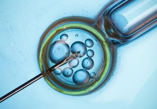 坤和助孕靠谱_自怀代孕妈妈,流产后多久可以进入试管婴儿周期？如何判断身体