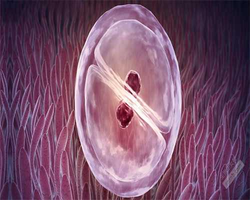 北京助孕志愿者,北京三代试管**费用明细