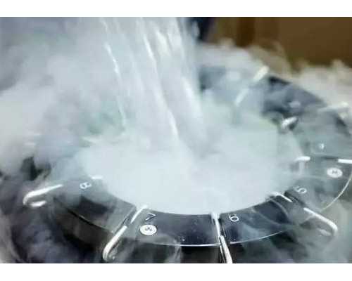 借卵产子费用清单_哪一家做代孕好,2026年4月份怀孕了，然后胎停了，后来半年